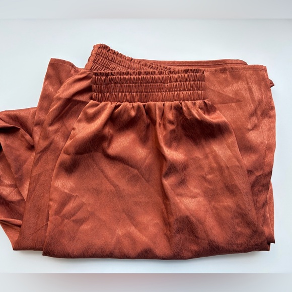 Alison New York Rust Satin Pants - Picture 2 of 4